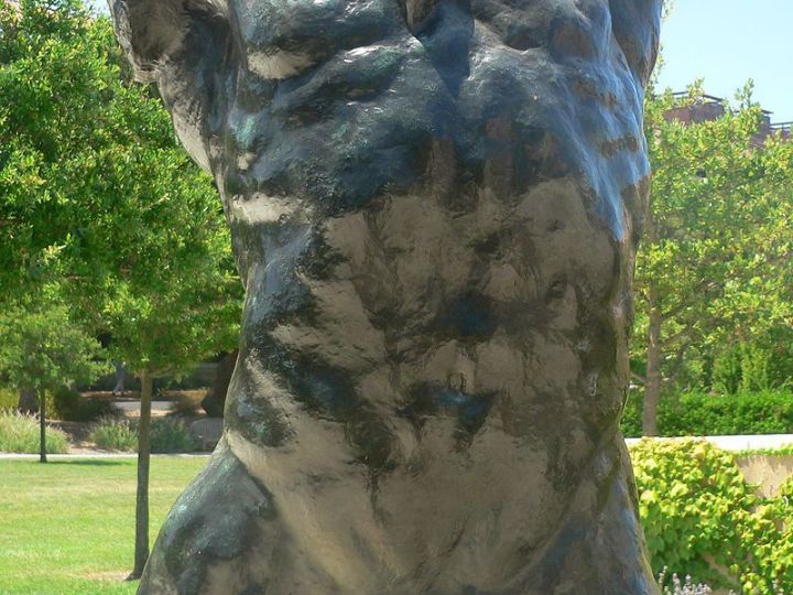 Torso-de-Auguste-Rodin